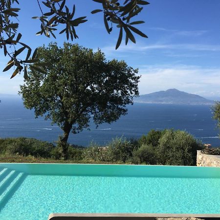 Villa Li Schisani Соренто Екстериор снимка
