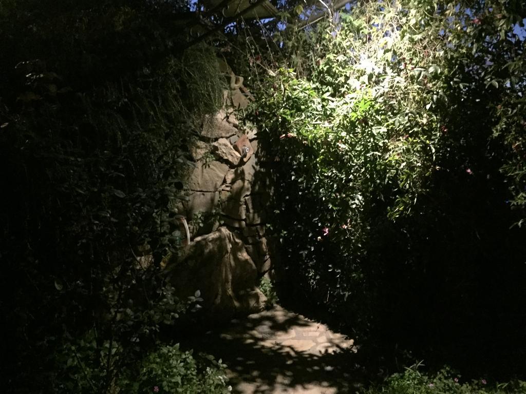 Villa Li Schisani Соренто Екстериор снимка